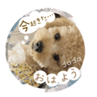 ラインスタンプサンプル