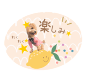 ラインスタンプサンプル